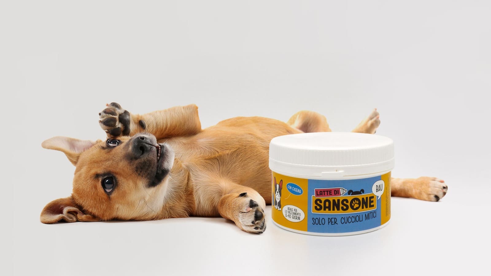 latte di sansone per cuccioli di cane